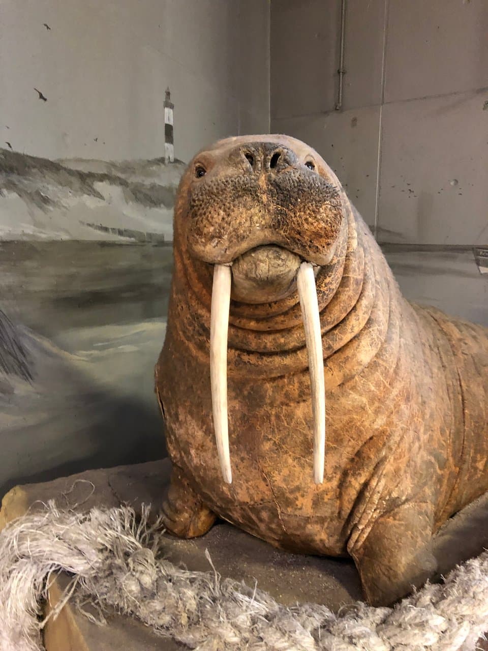 Erlebniszentrum Naturgewalten List Sylt Germany