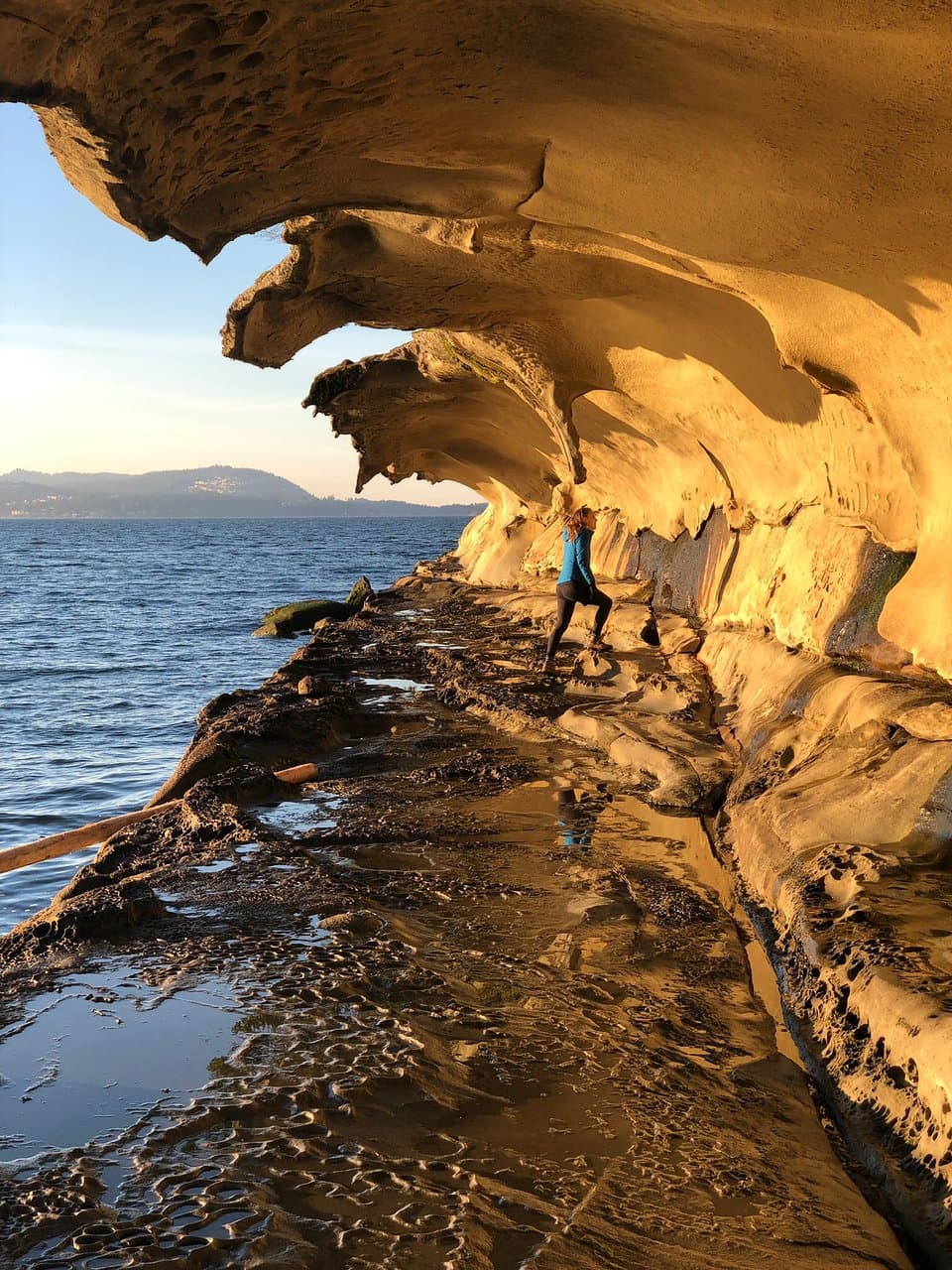Malaspina Galleries