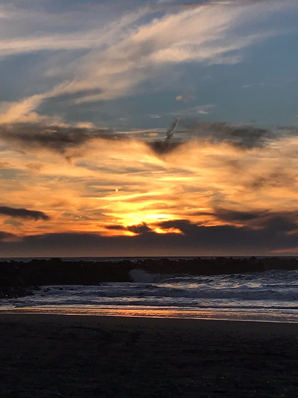 Glorious sunny skies and magnificent sunsets mid January. And interesting beach creatures as well.