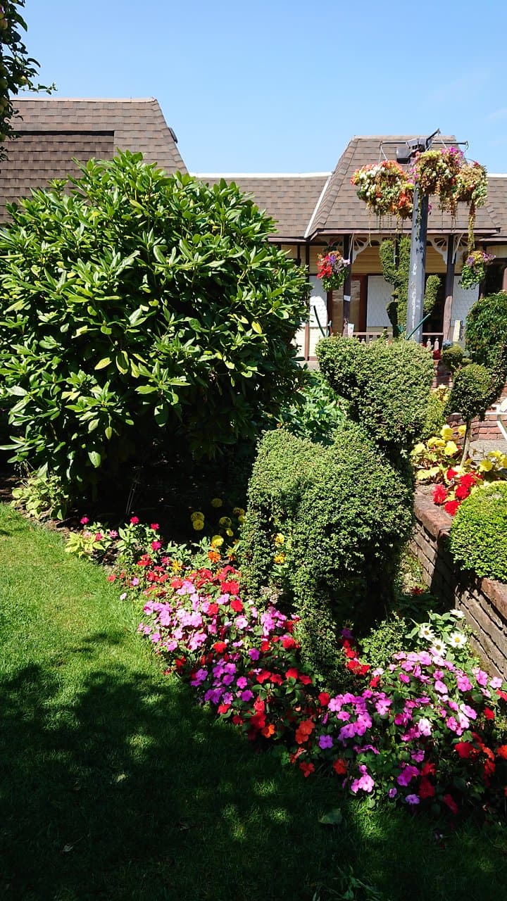 garden