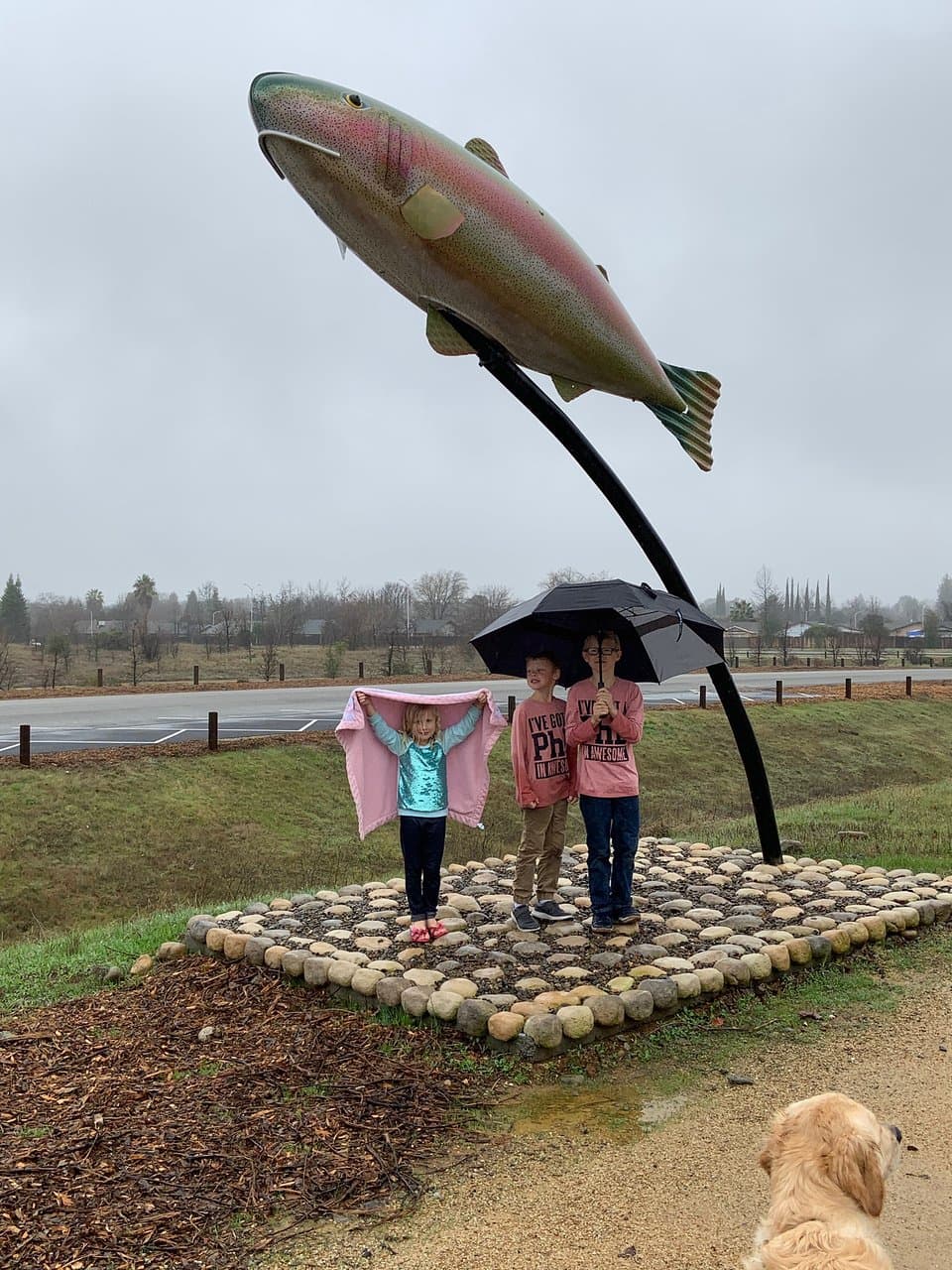 Clover Creek Preserve