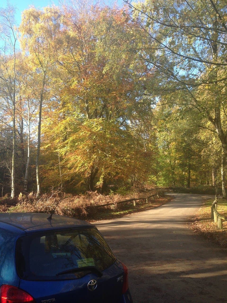 Autumn splendour