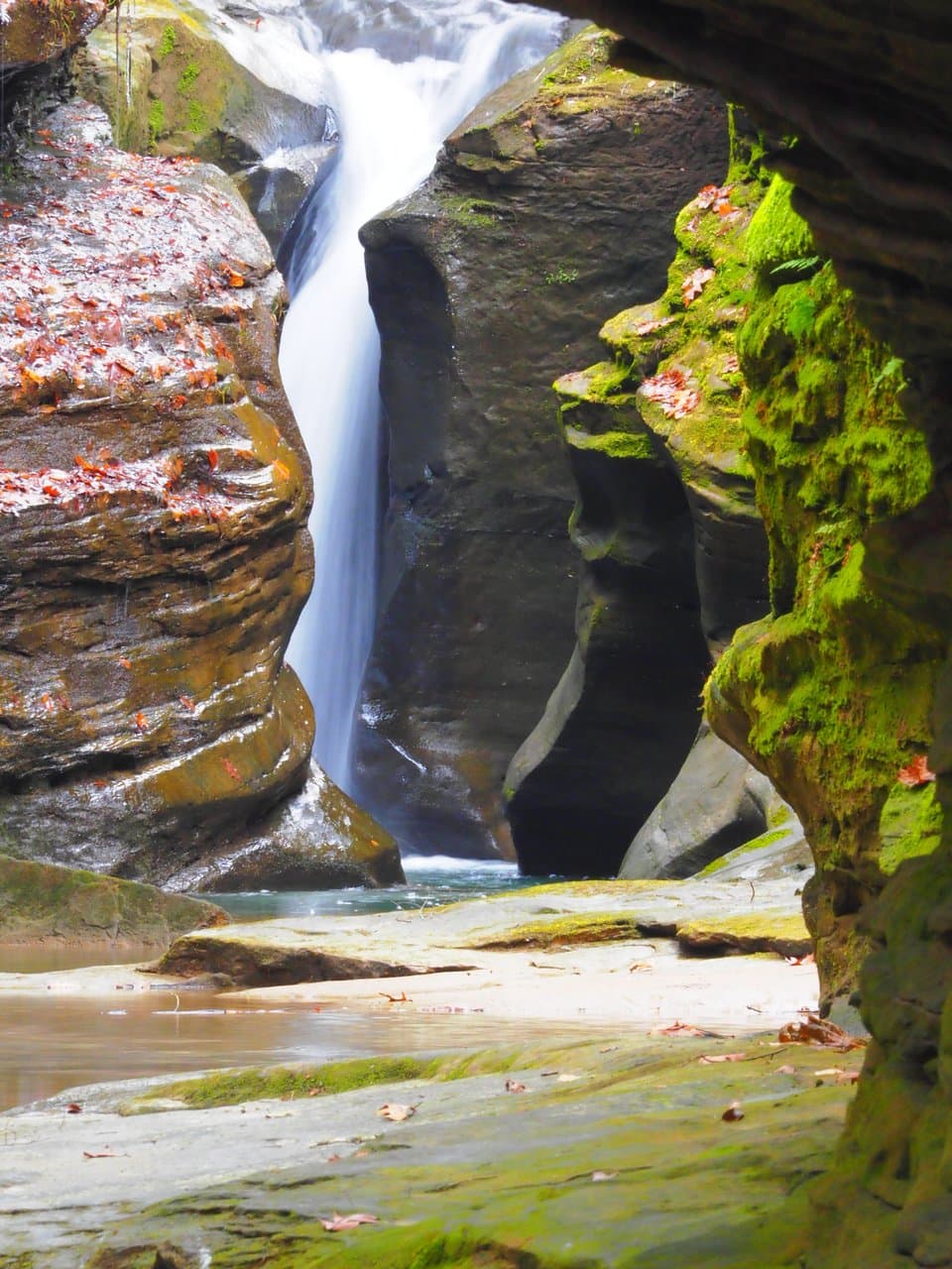 Robinson Falls