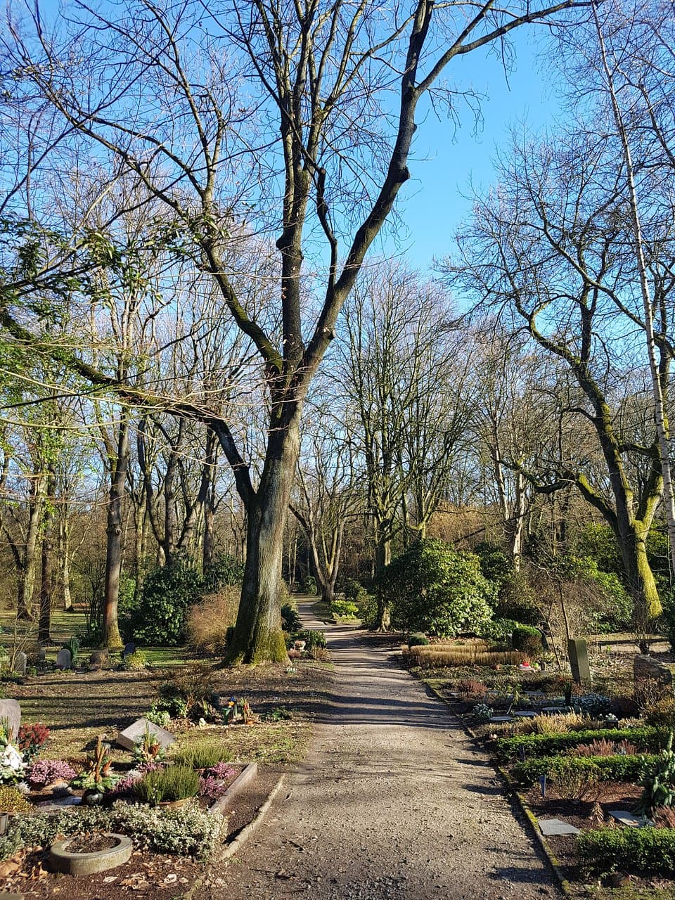 Ostfriedhof