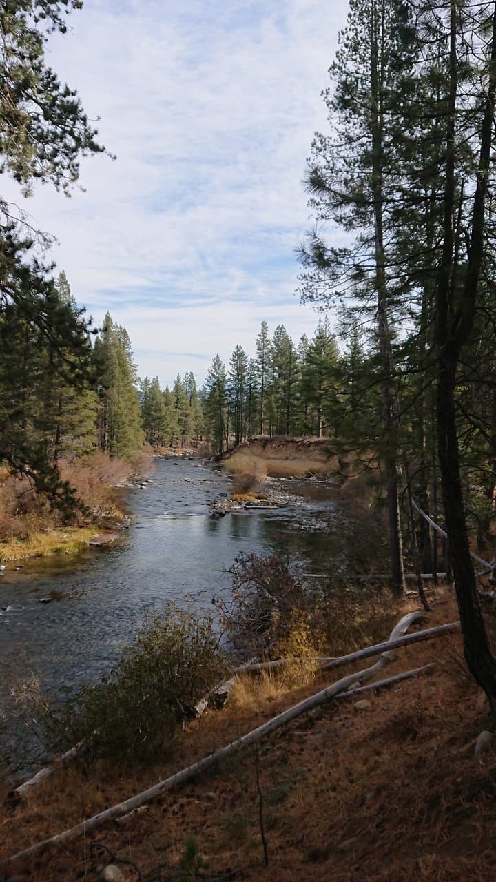 along the trail