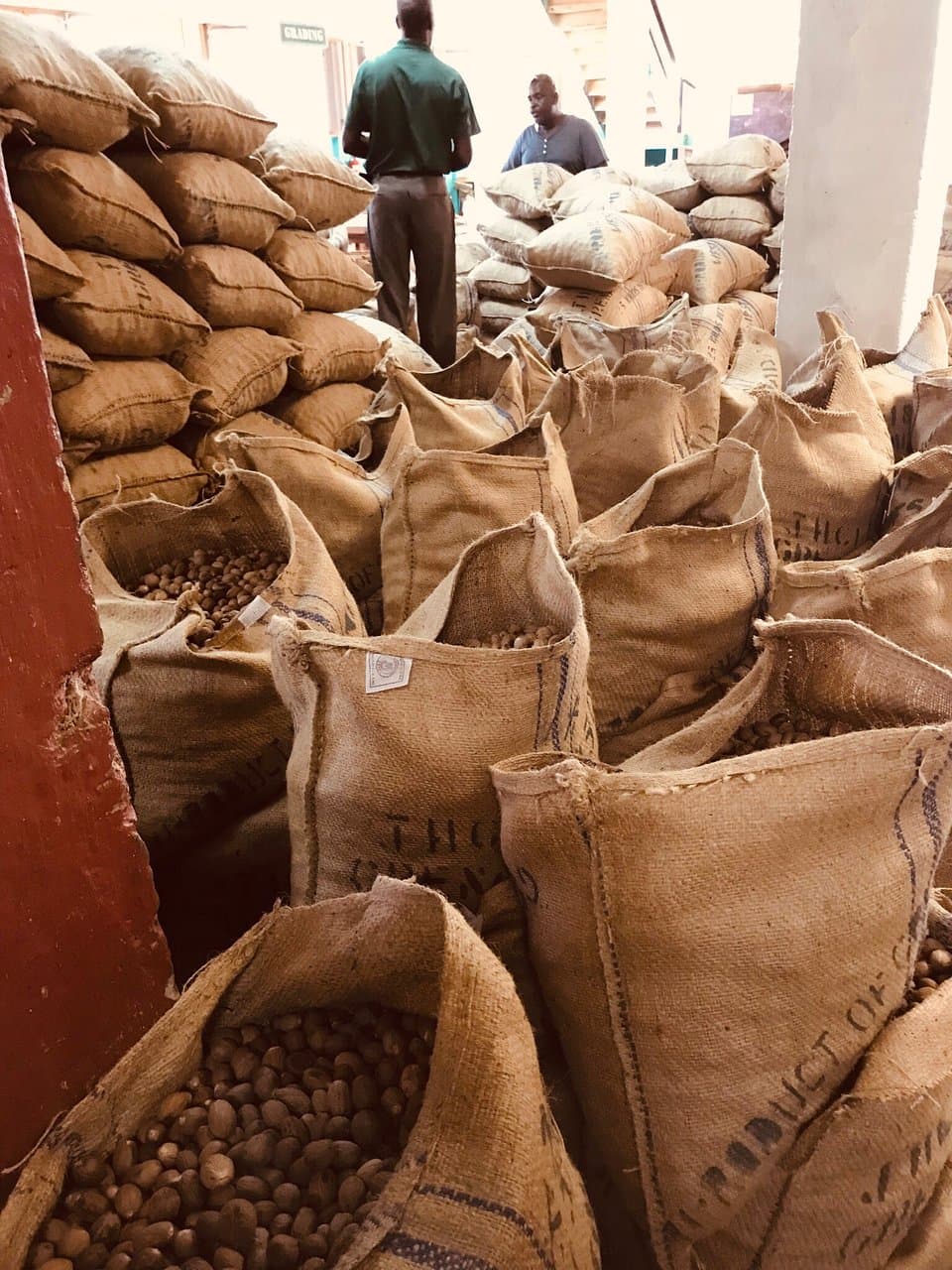 Gouyave Nutmeg Processing Station Grenada