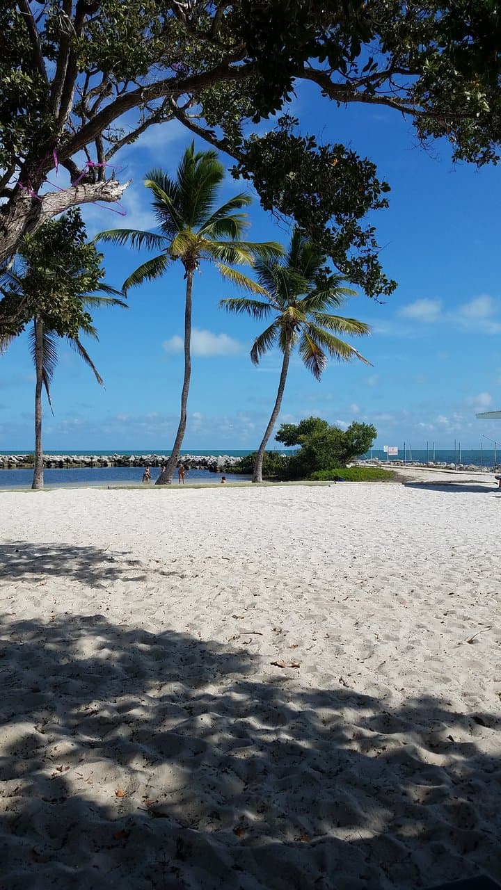 Harry Harris Park