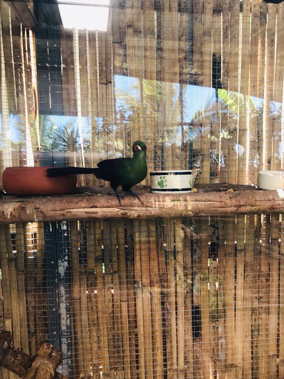 Monster Aquarium Pattaya