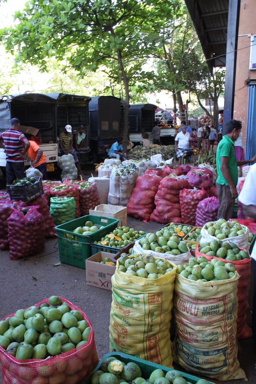 L'entrée du marché
