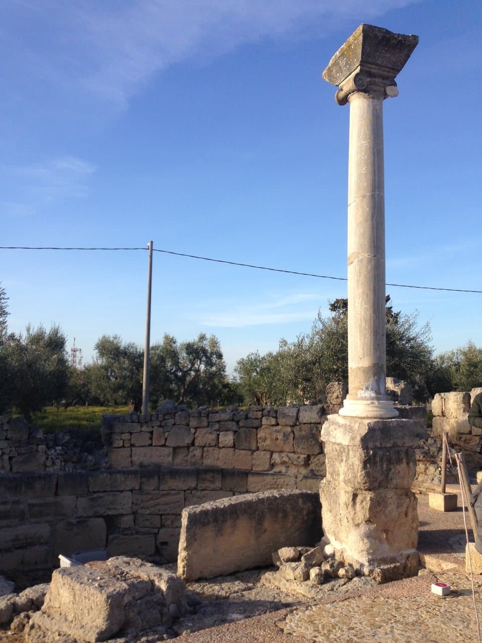 colonne della basilica di San Leucio