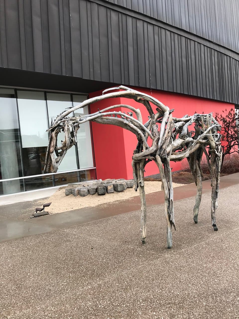 Western horse