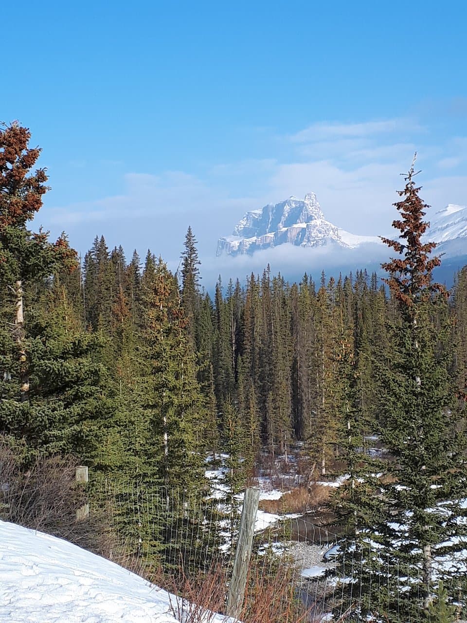 Castle Mountain