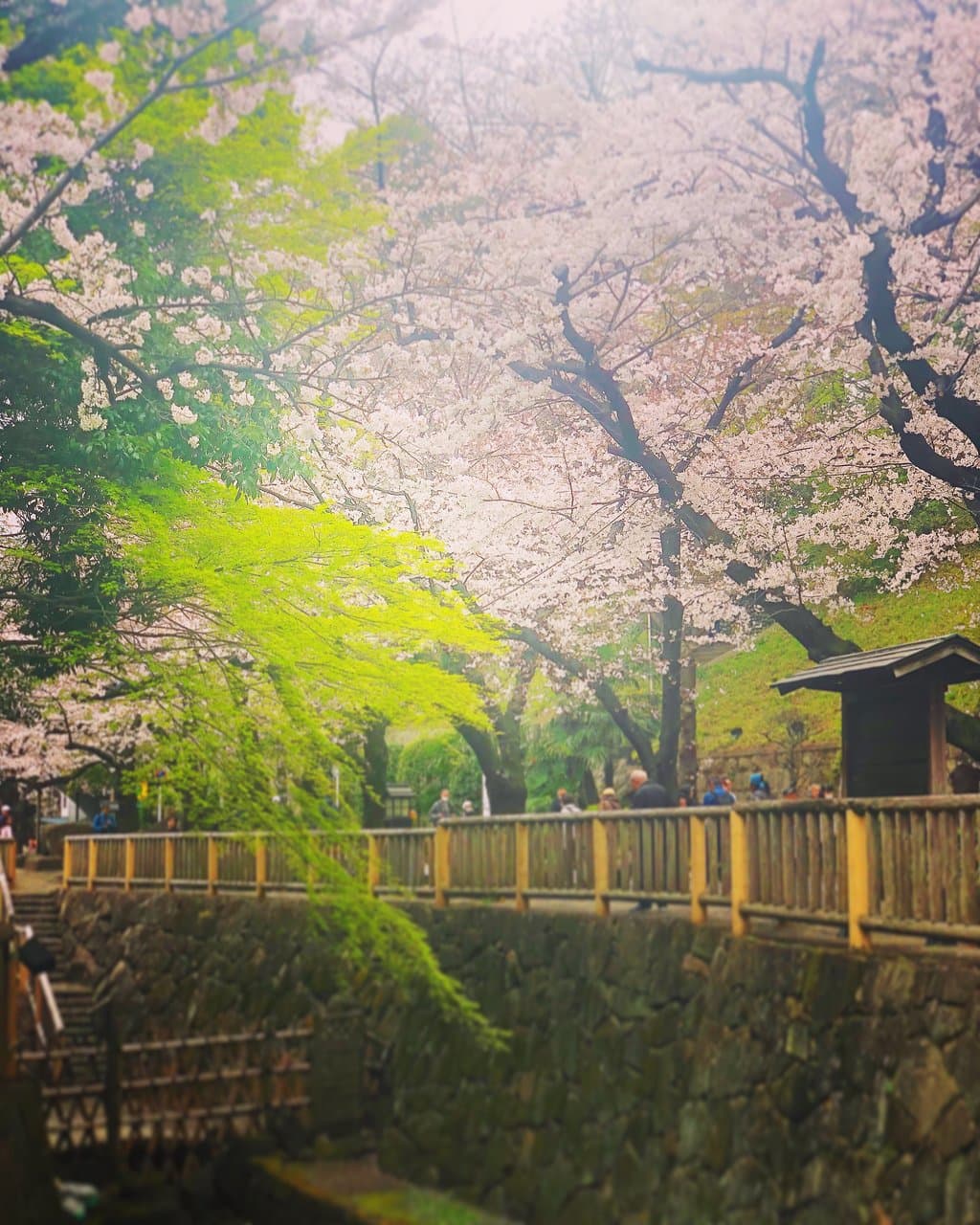 Otonashi Shinsui Park