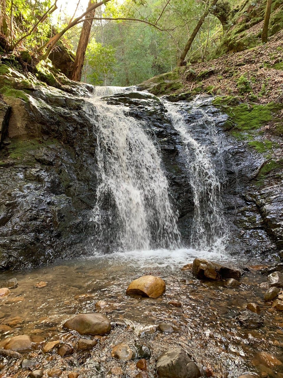 Uvas Reservoir County Park