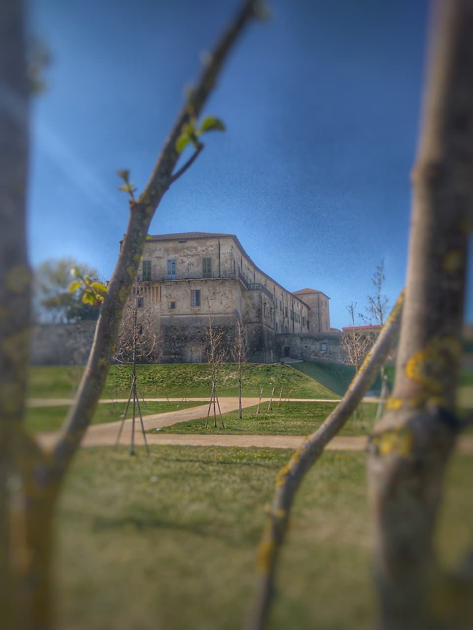 La rocca vista da fuori, in pieno centro. Al suo interno il museo del vino.