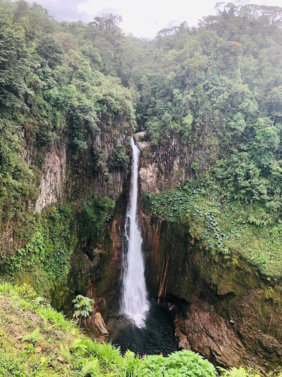 Juan Castro Blanco N. P. is the newest of Costa Rica’s national parks. It is also called the Waterfall Park or Park of Waters.