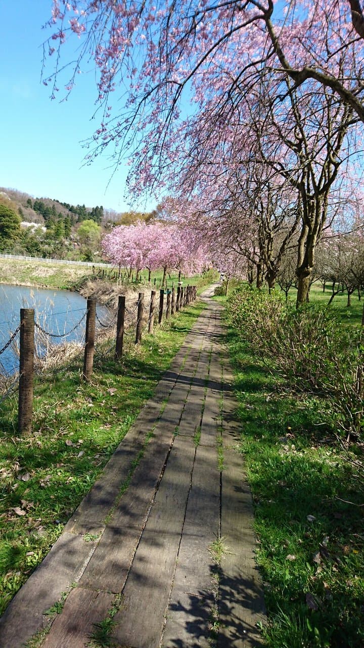 Toyama Family Park Toyama