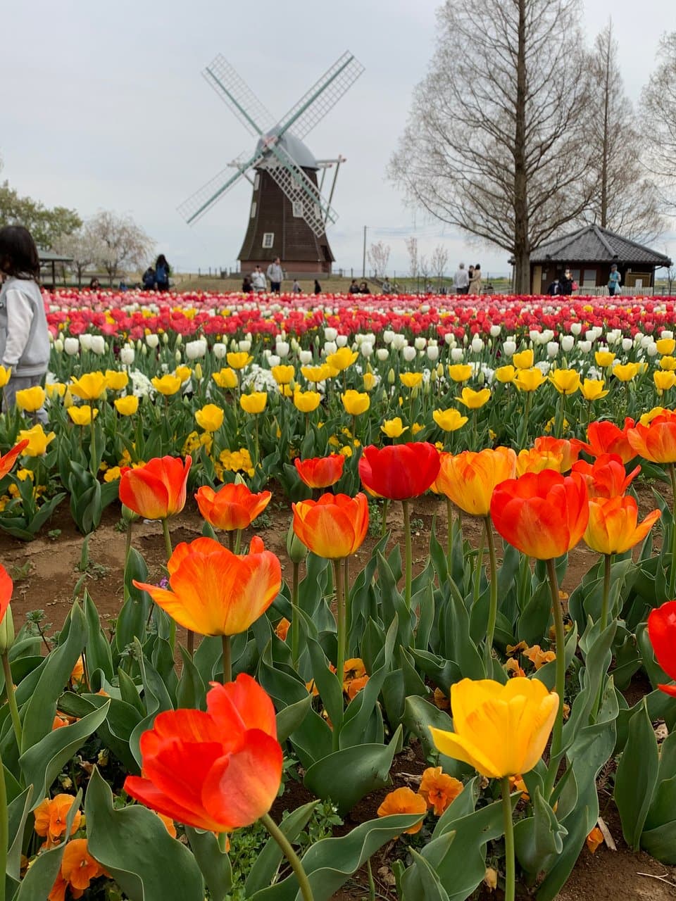 Akebonoyama Agricultural Park