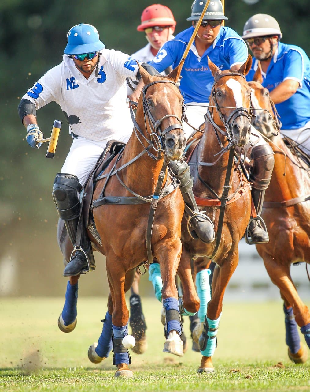 Brandywine Polo Club