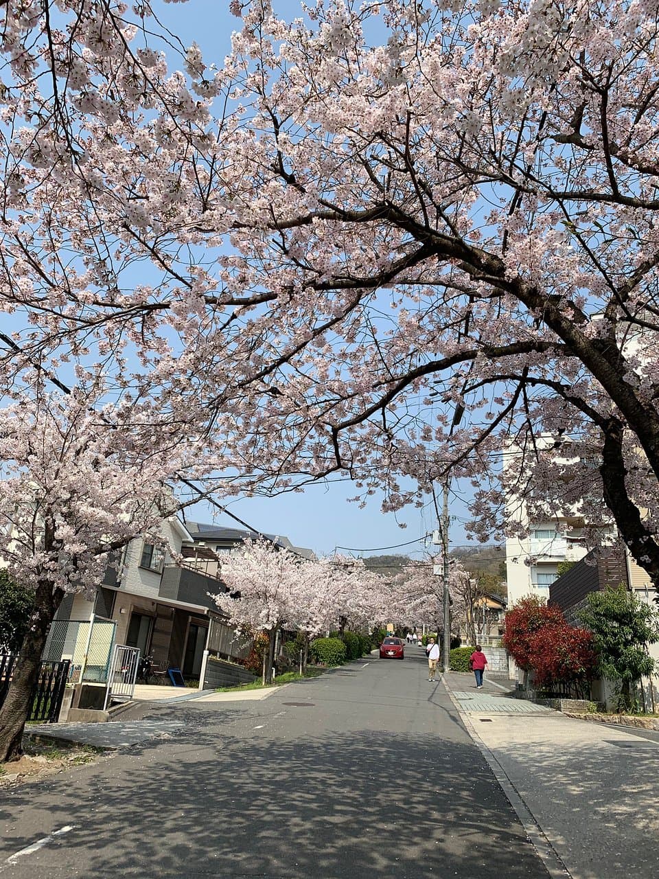 Hiraoka Park Osaka