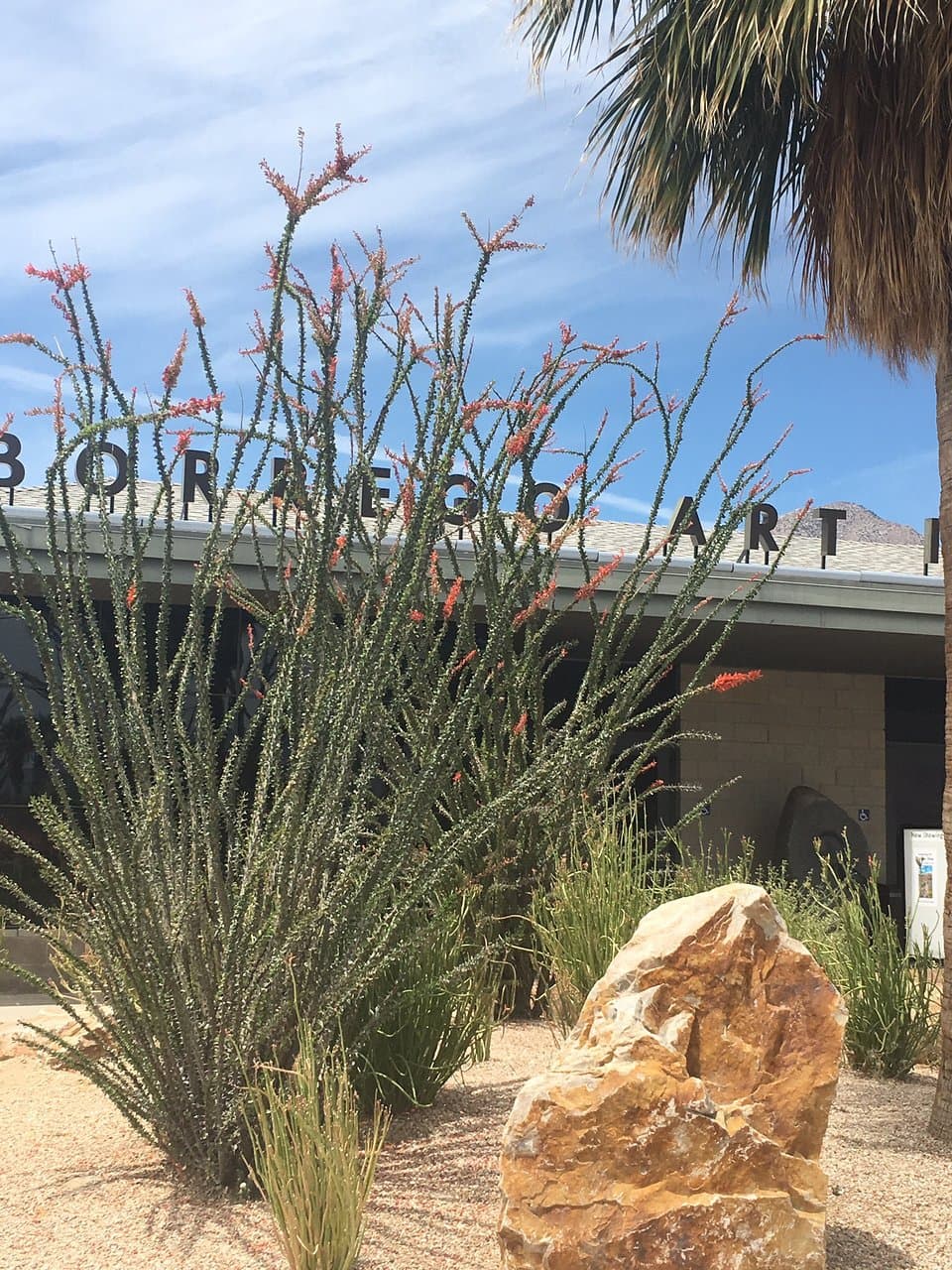 Borrego Art Institute