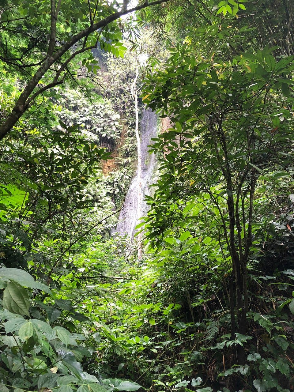 Forest Park Conservation Area Tahura Ir. H. Juanda