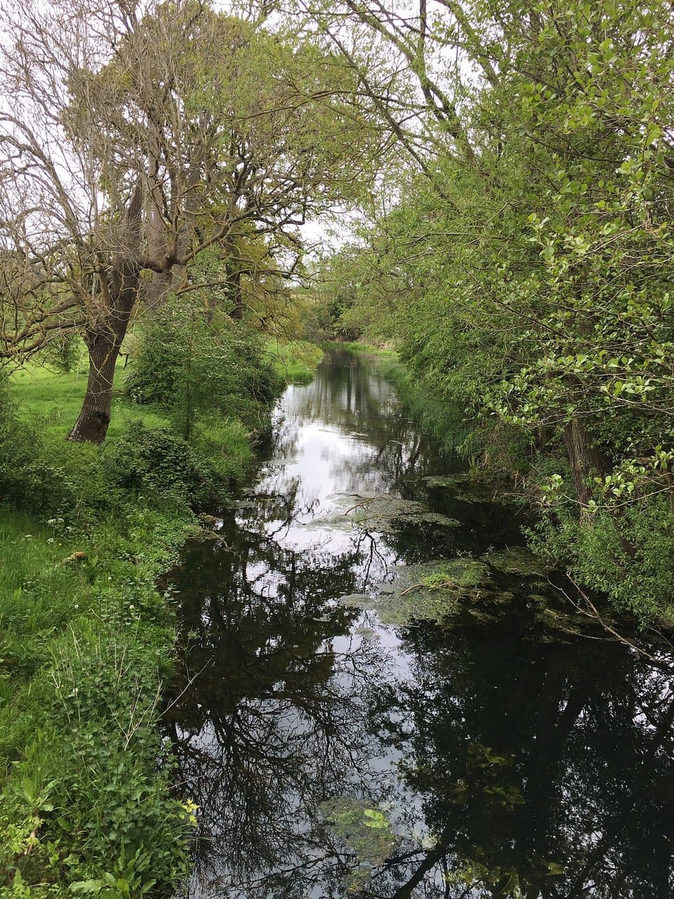 Swift Valley Nature Reserve