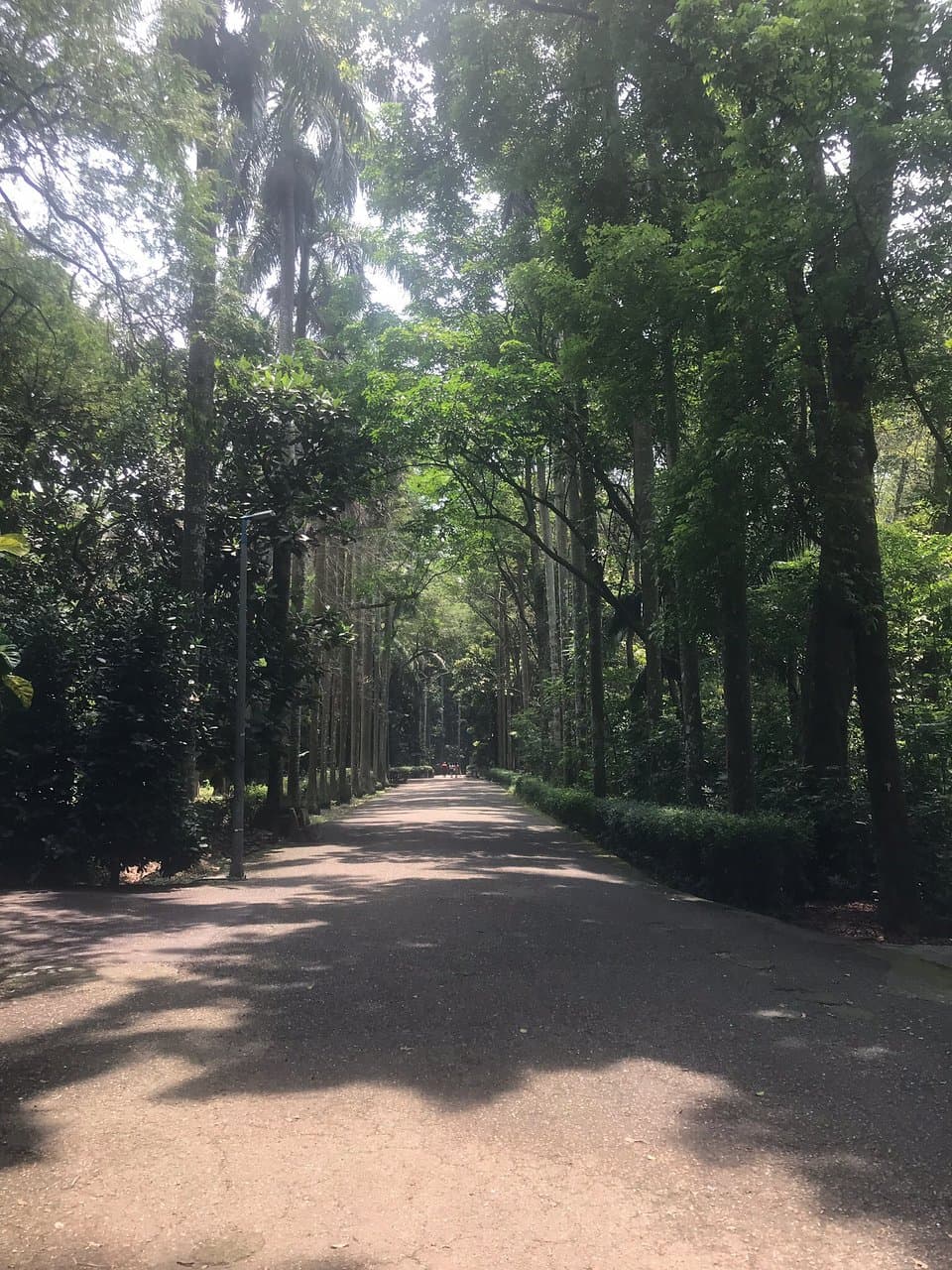 Botanic Garden