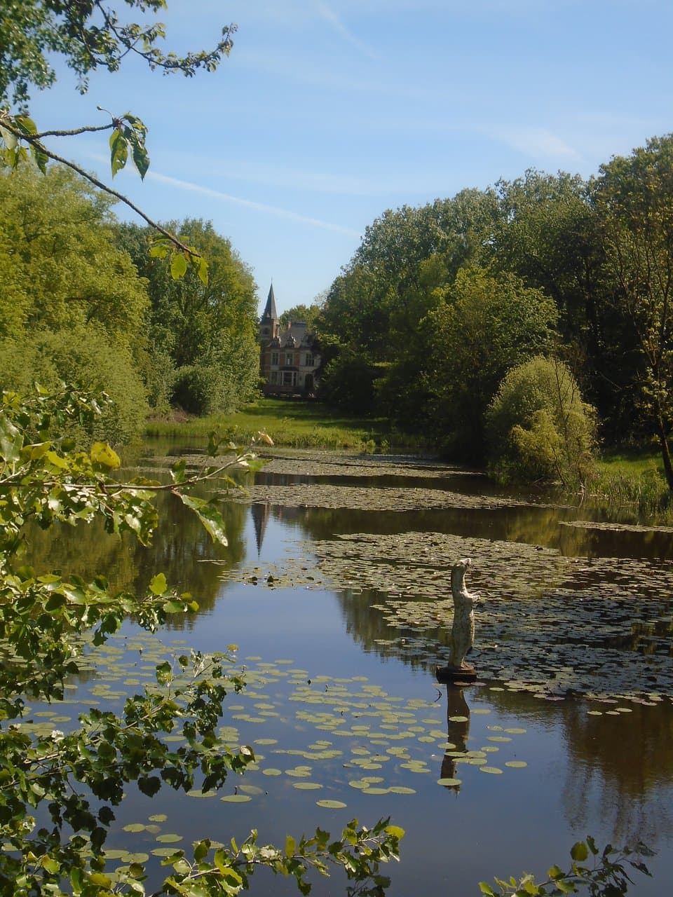 Kasteel op de achtergrond