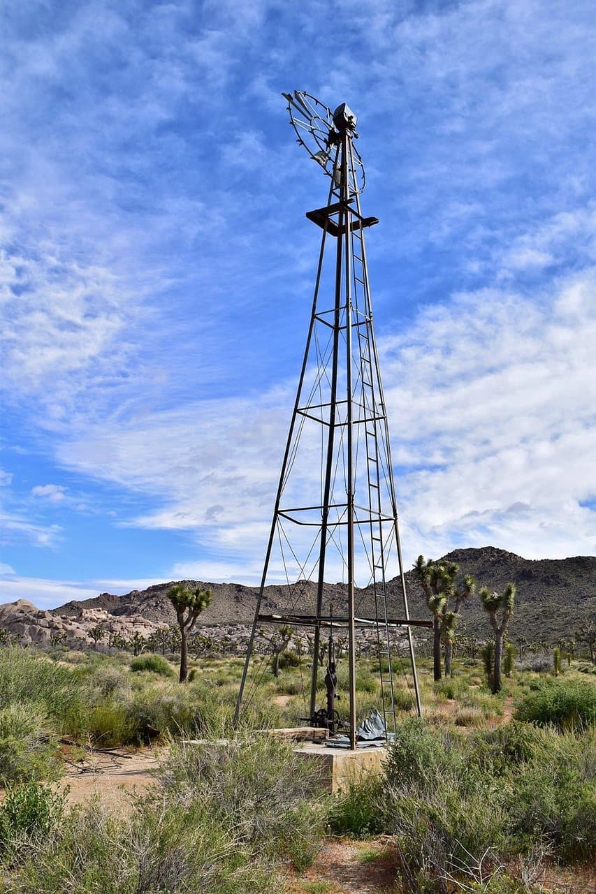 Desert Queen Well