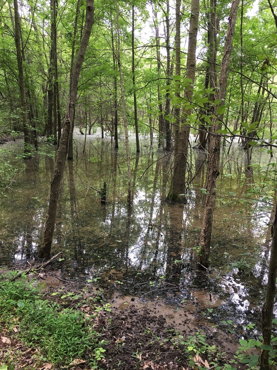Along the trail