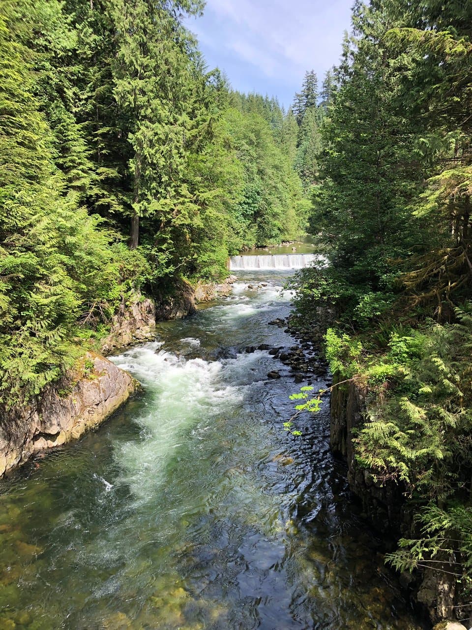 Capilano Salmon Hatchery Vancouver