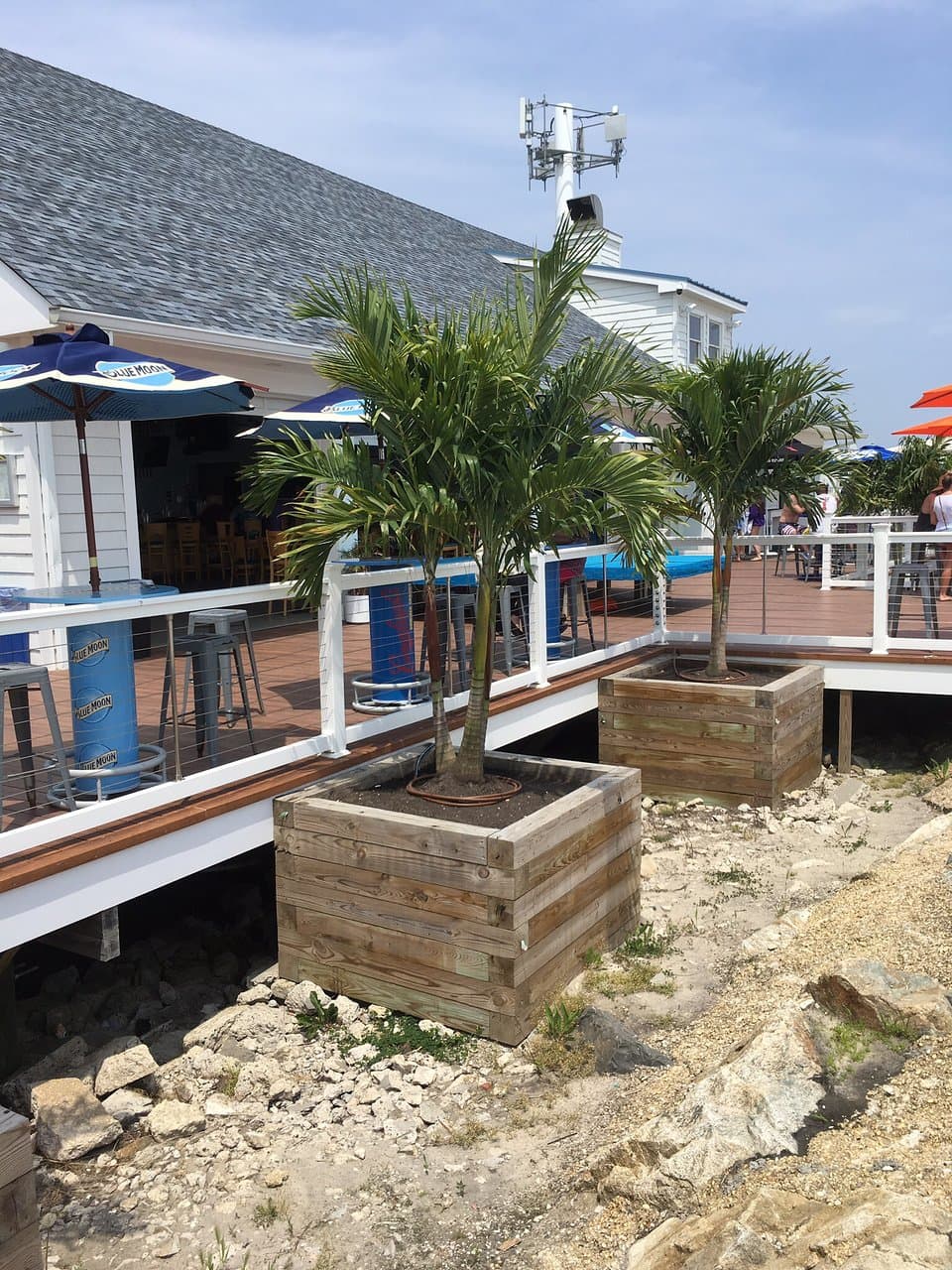 DONOVANS Surf Club Restaurant & Bar