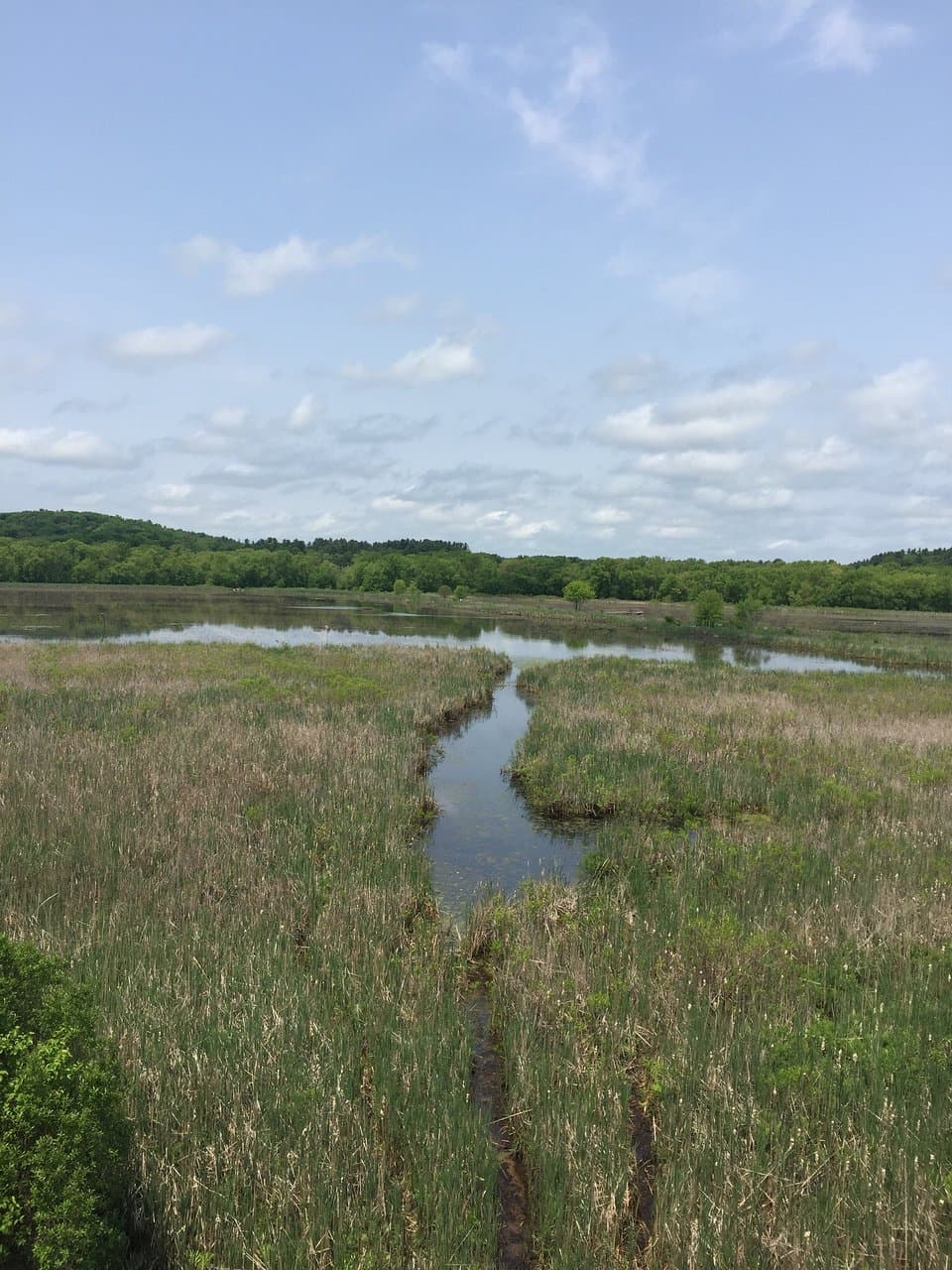 Reformatory Branch Trail