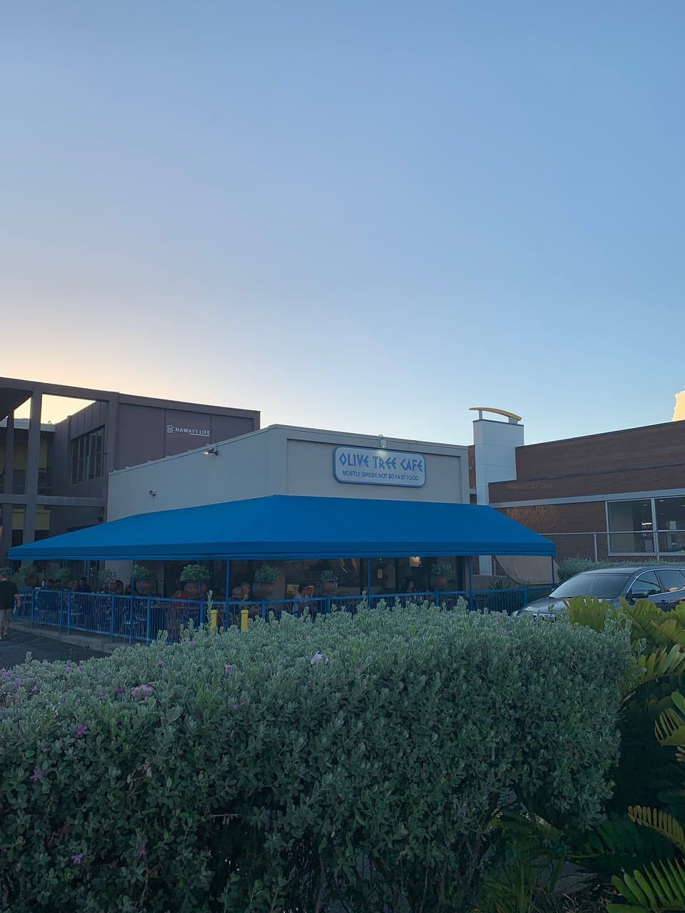 Olive Tree Restaurant