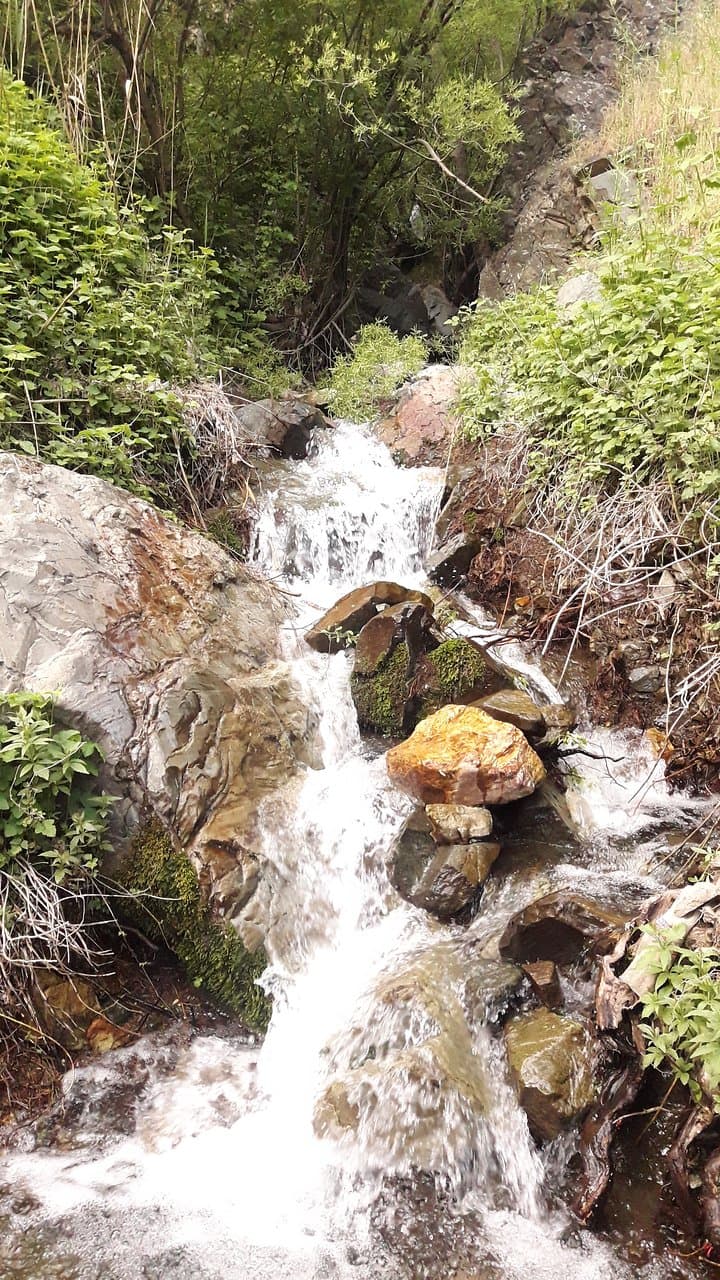 Darabad Mountain, Tehran / Spring 2019