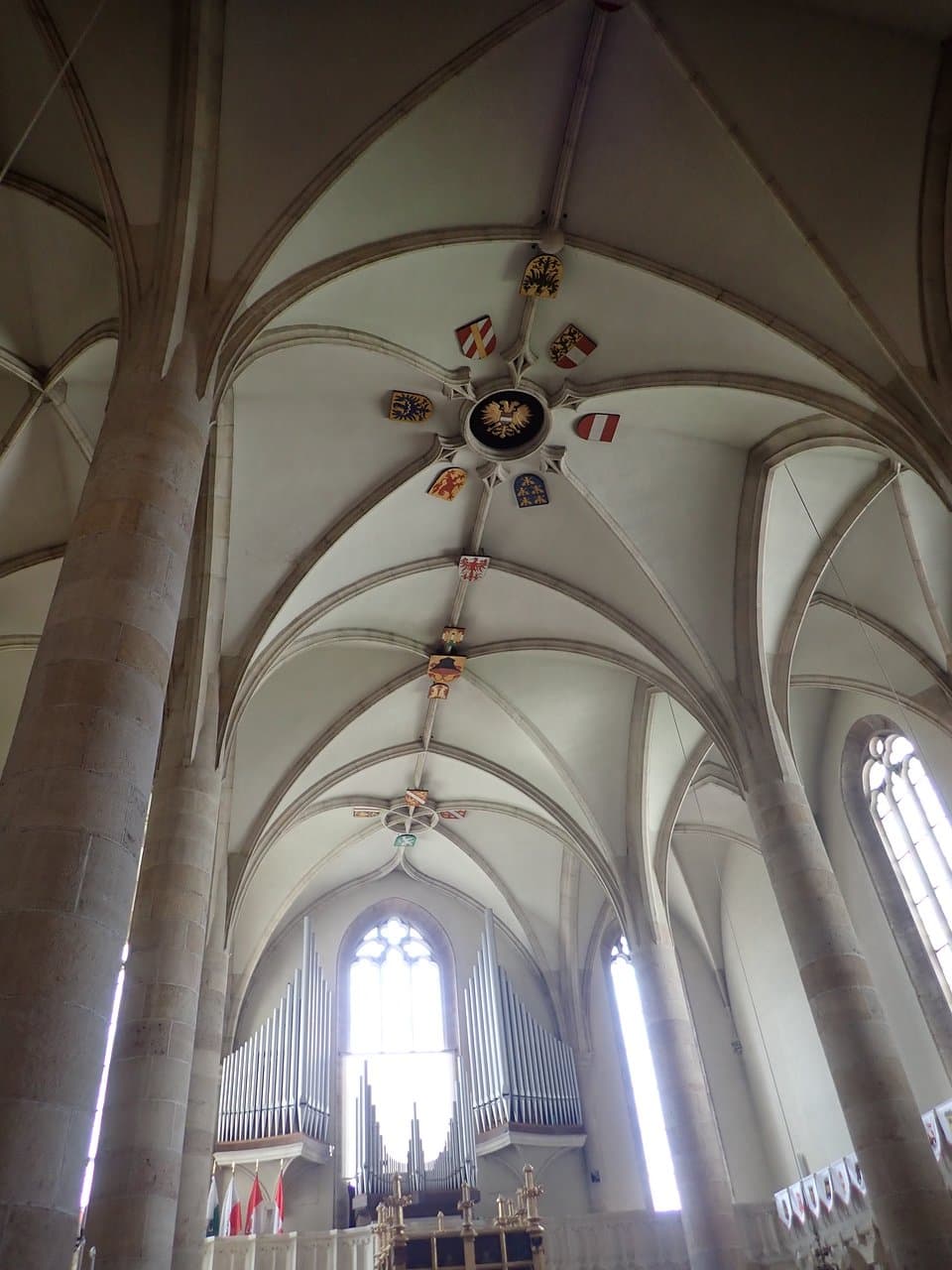 Looking up