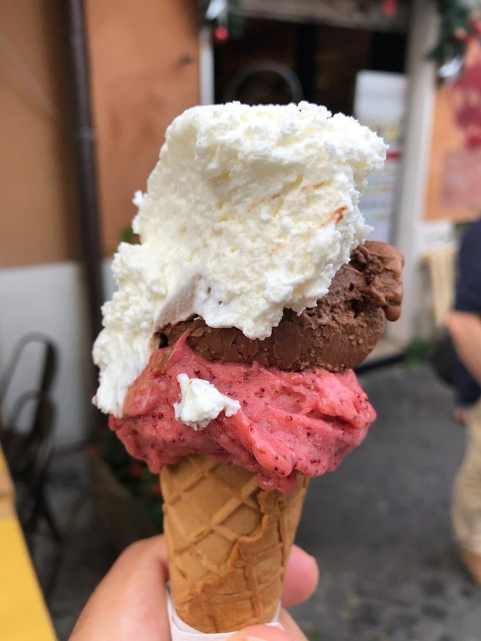 Wild strawberries, dark chocolate sorbet with whipped cream.  Delicious!