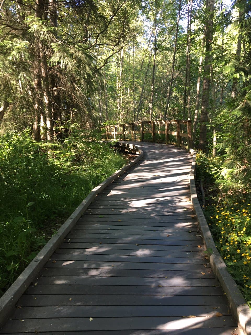 Narbeck Wetland Sanctuary Park