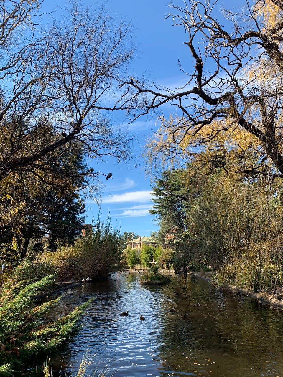 Gorgeous park. 