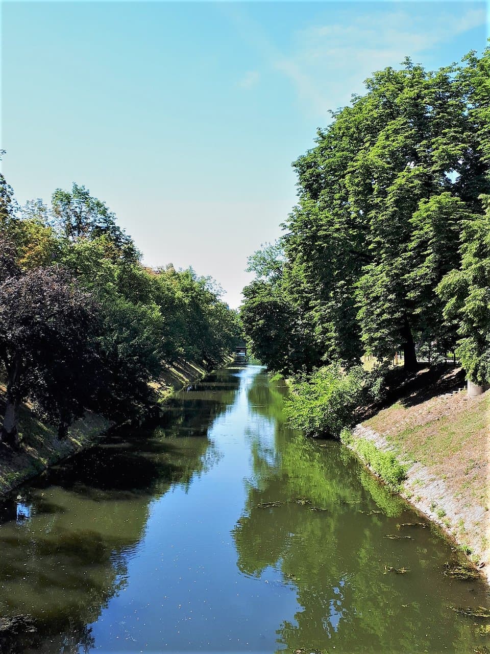 Park Staromiejski 