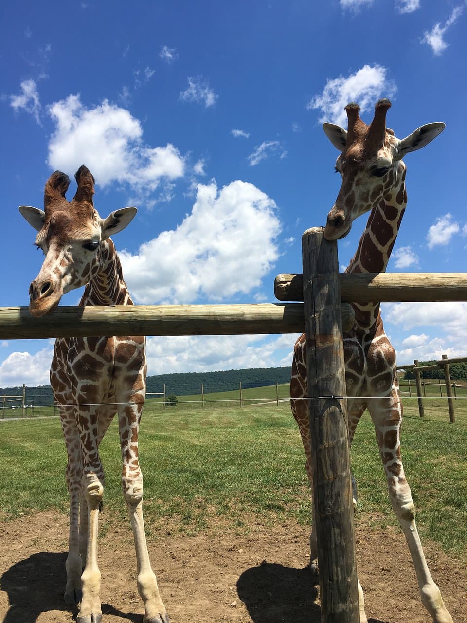 Lake Tobias Wildlife Park