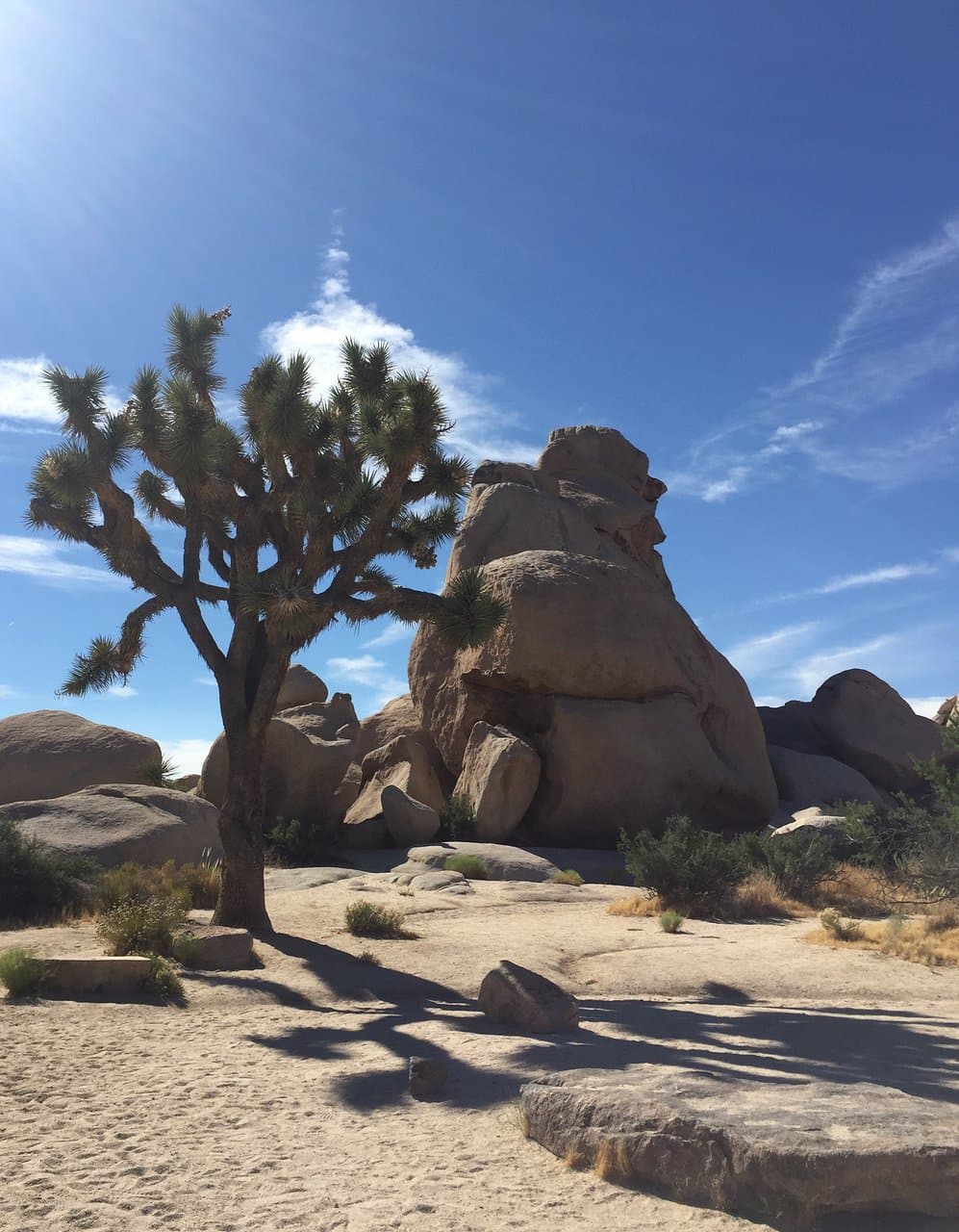 Quail Springs Picnic Area