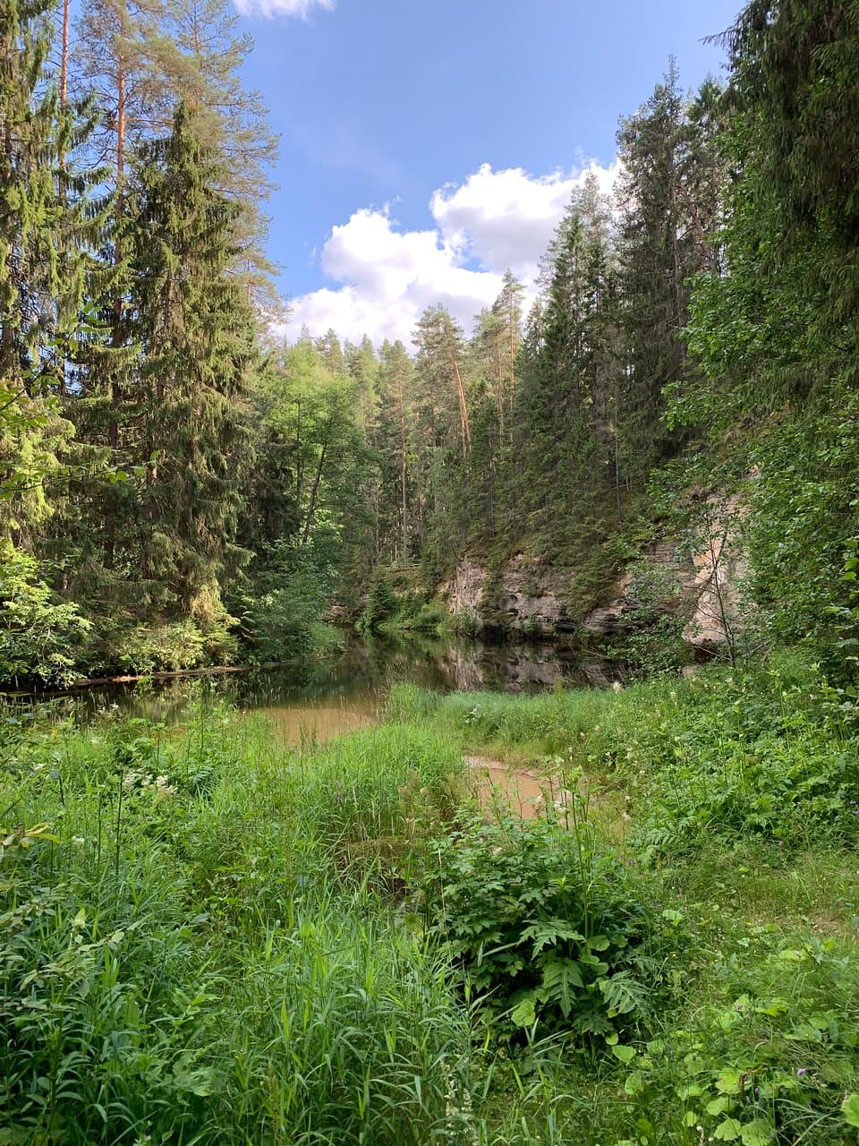 the nature