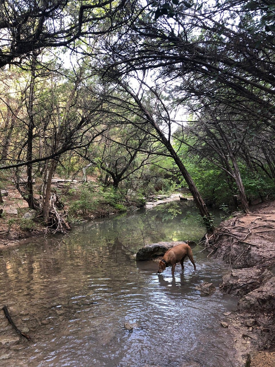 Turkey Creek Trail
