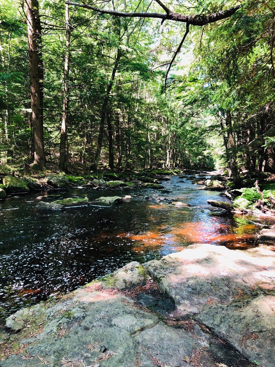 Welsh Mountain Nature Preserve