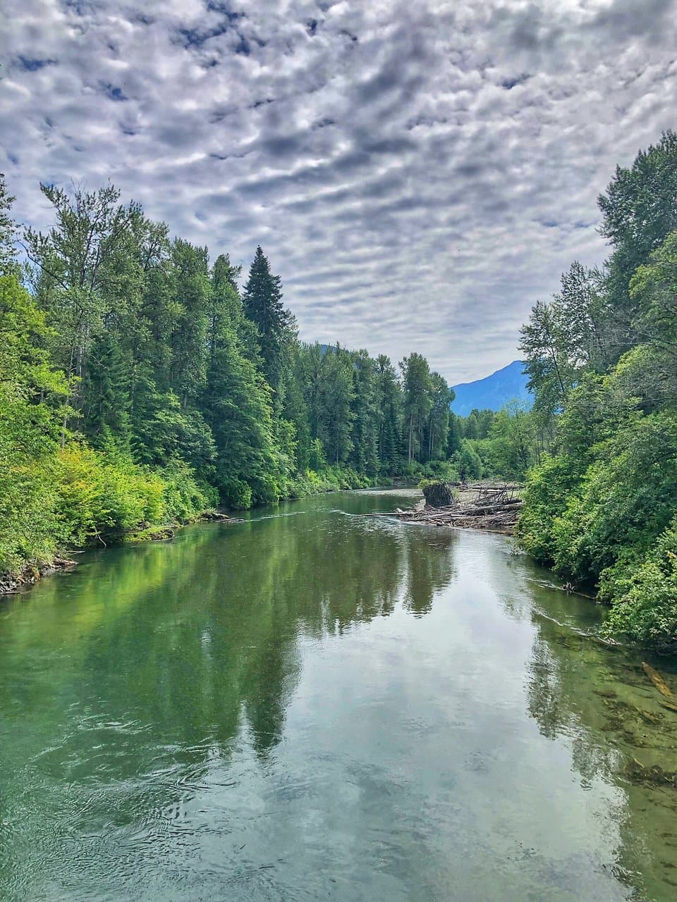 Skagit Valley Provincial Park