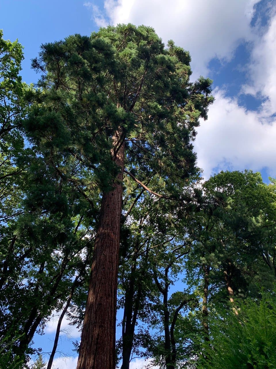 Botanical Garden and Arboretum