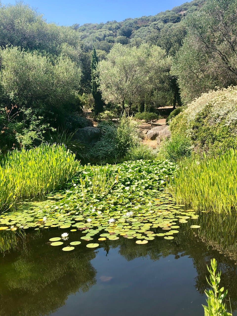 Parc de Saleccia Botanical Garden