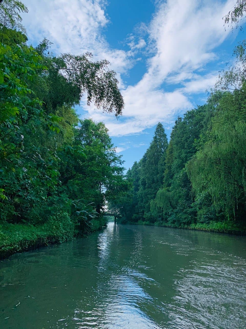 Tongli National Wetland Park